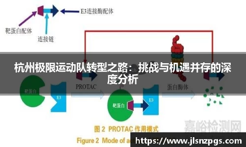 BG大游娱乐